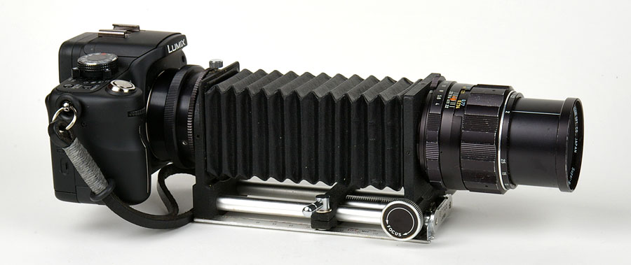 Panasonic G1 with M42 adapter, macro bellows, and Pentax Super-Multi-Coated Macro-Takumar 50/4