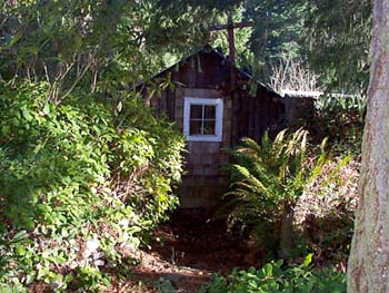 The Finnish sauna