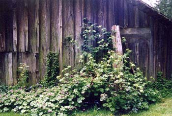 Barn on the farm